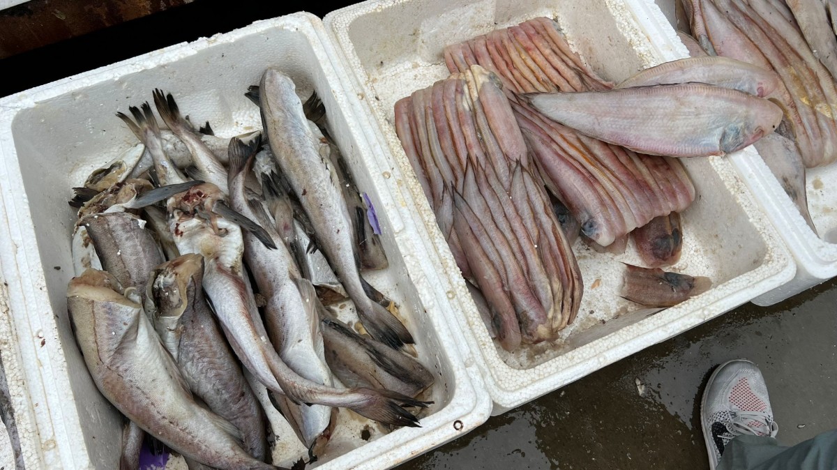 Pity Fish People who know how to eat fish in autumn choose these 4 kinds!The ...