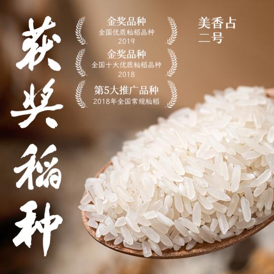 Where does the smell of rice come from?I bet 90 of people don't know