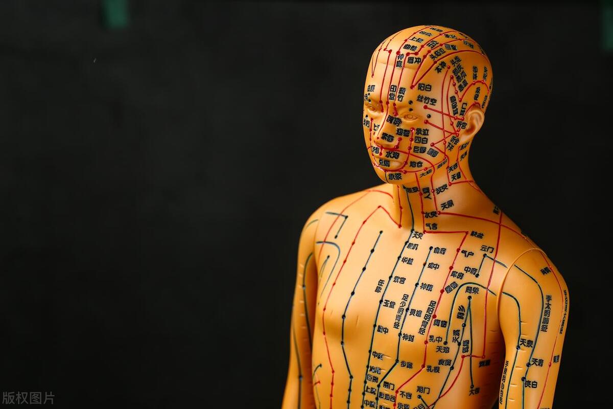 Introduction to Traditional Chinese Medicine Acupuncture and