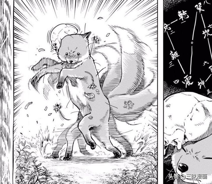 非公式 栄光の マトリックス 千年 狐 Kjc08 Jp