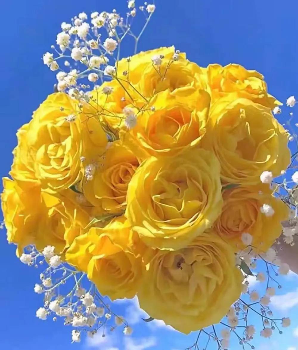 Do nothing, silence is golden - iNEWS