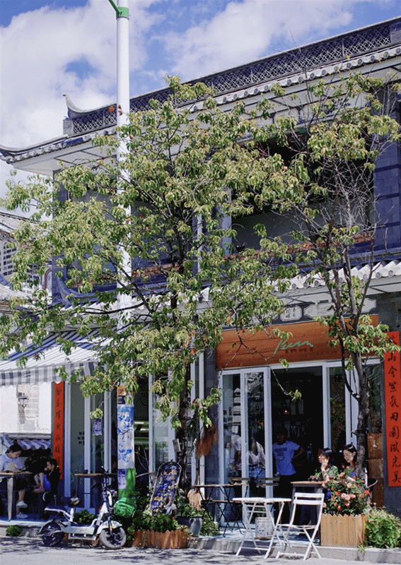 Taste the 10 best cups of coffee, and the stories of 10 baristas and