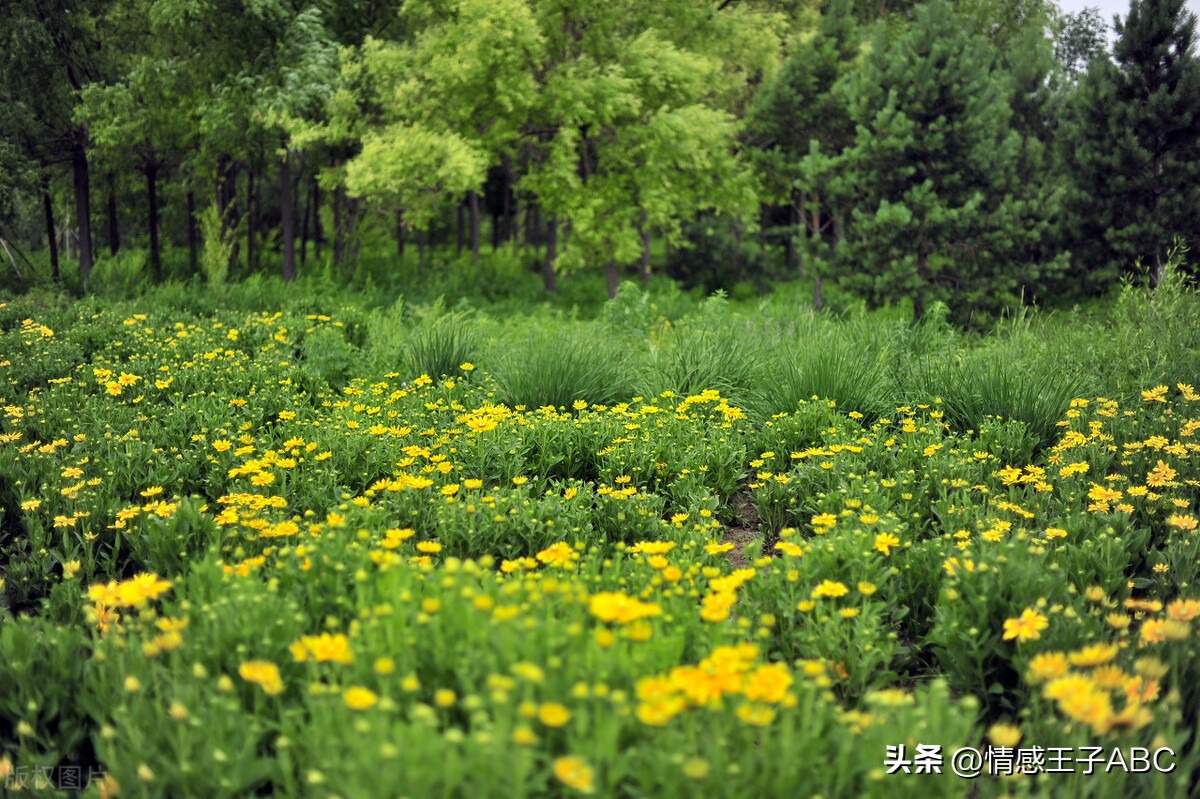 What to buy elderly aunt for christmas