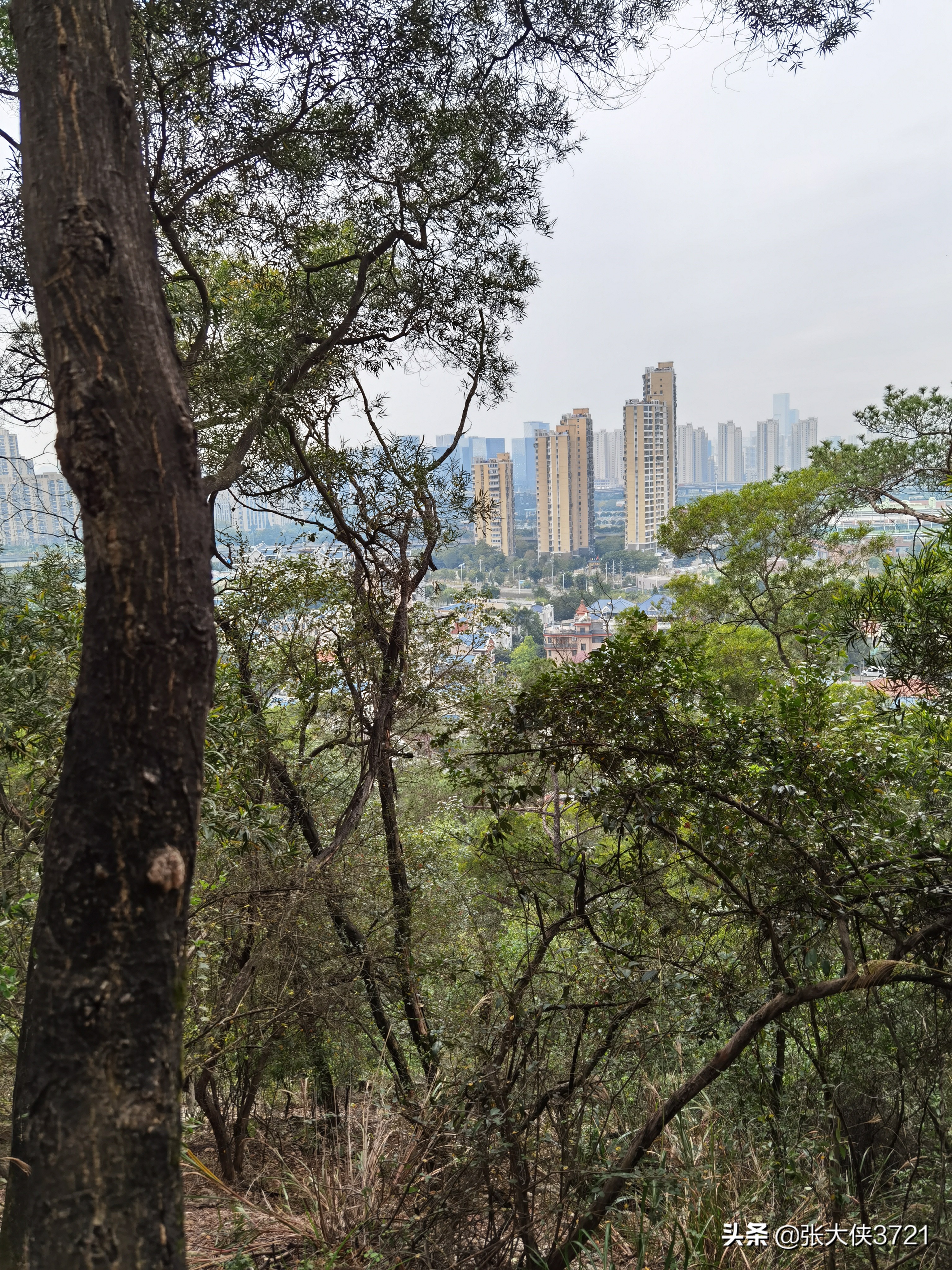 Completed in 2 hours, a trip to Gushan: The Way of the Brave-Lookout ...