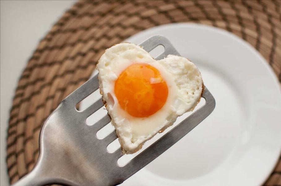 Kidney failure in dogs, just because of "feeding too many eggs"?too