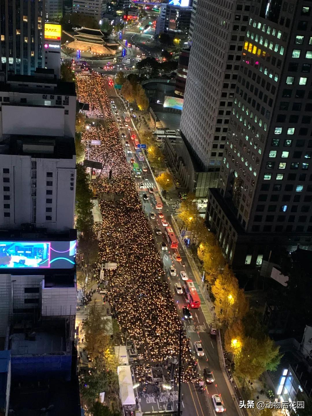 Itaewon Stampede Disaster Memorial Ceremony... Candlelight Protesters ...