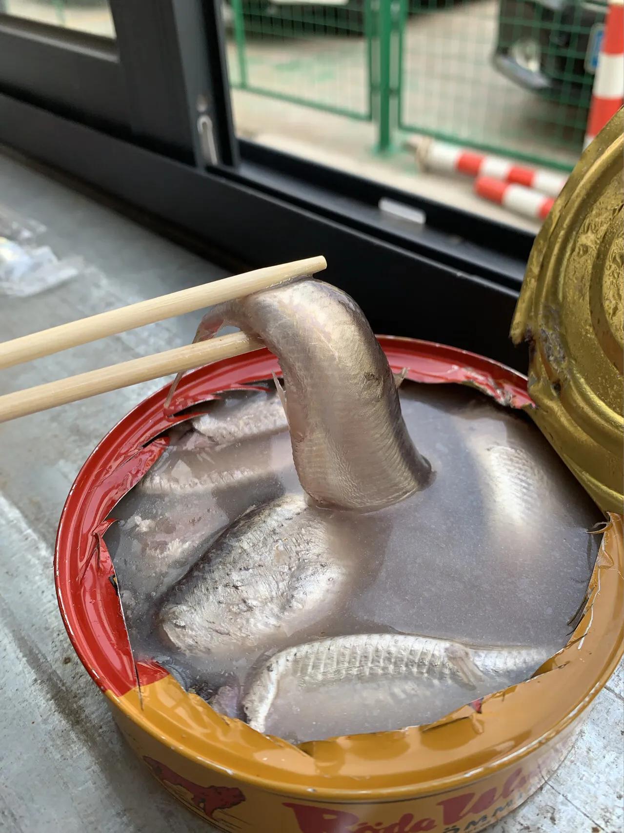 What does a normal canned herring look like iNEWS
