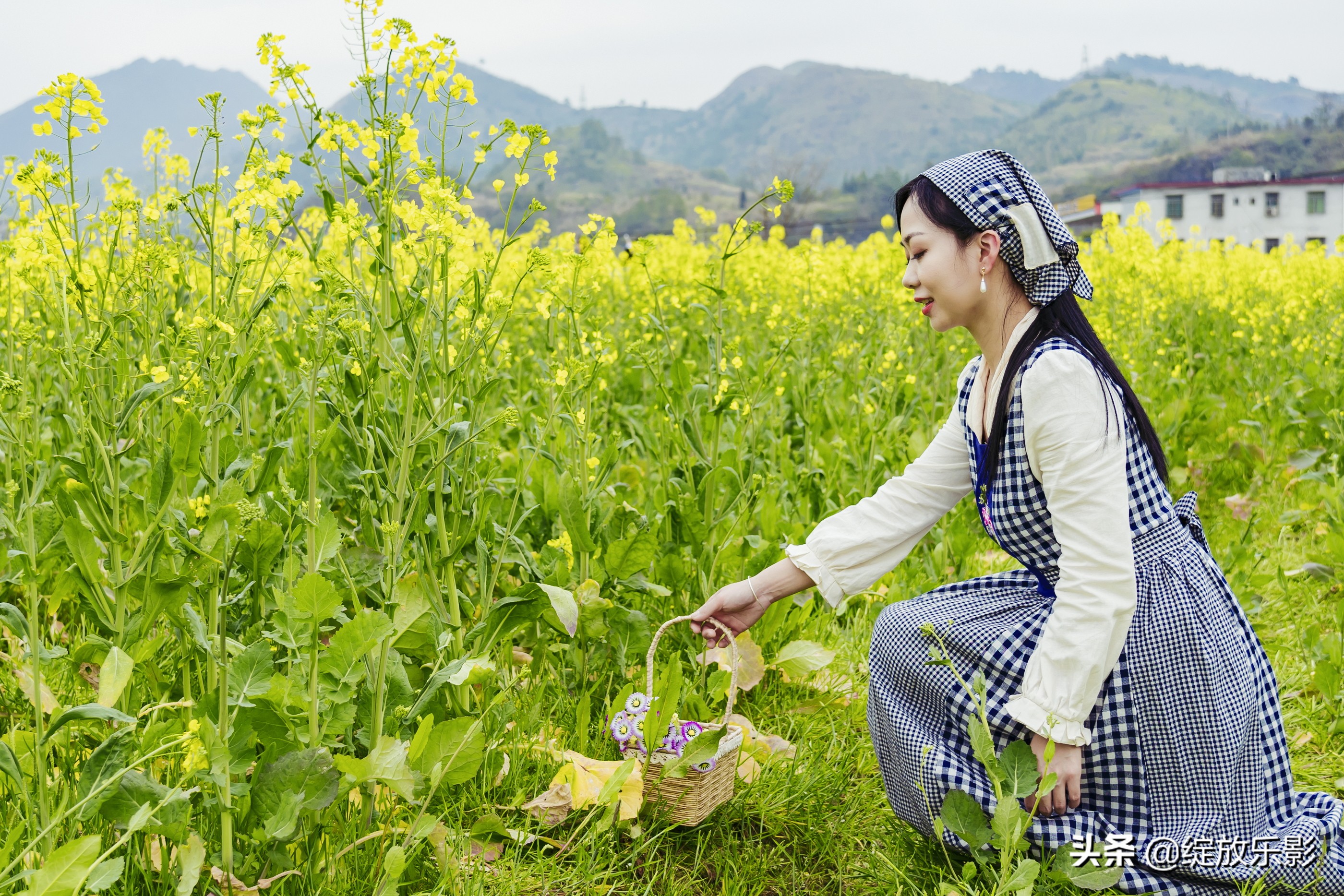 三月花簇簇 平和村油菜花开了 资讯咖