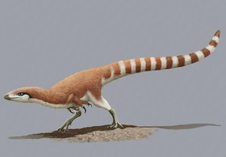 The study of paleontology is fossils, the remains of living things