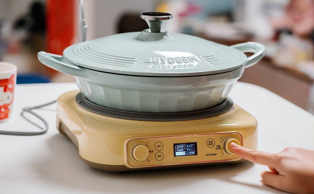 Which is more costeffective to cook with a gas stove or an induction