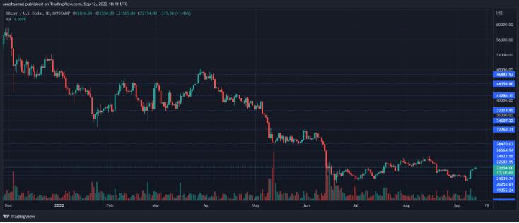 Bitcoin Price Surges Above $22,000, But Will The Momentum Last? - INEWS