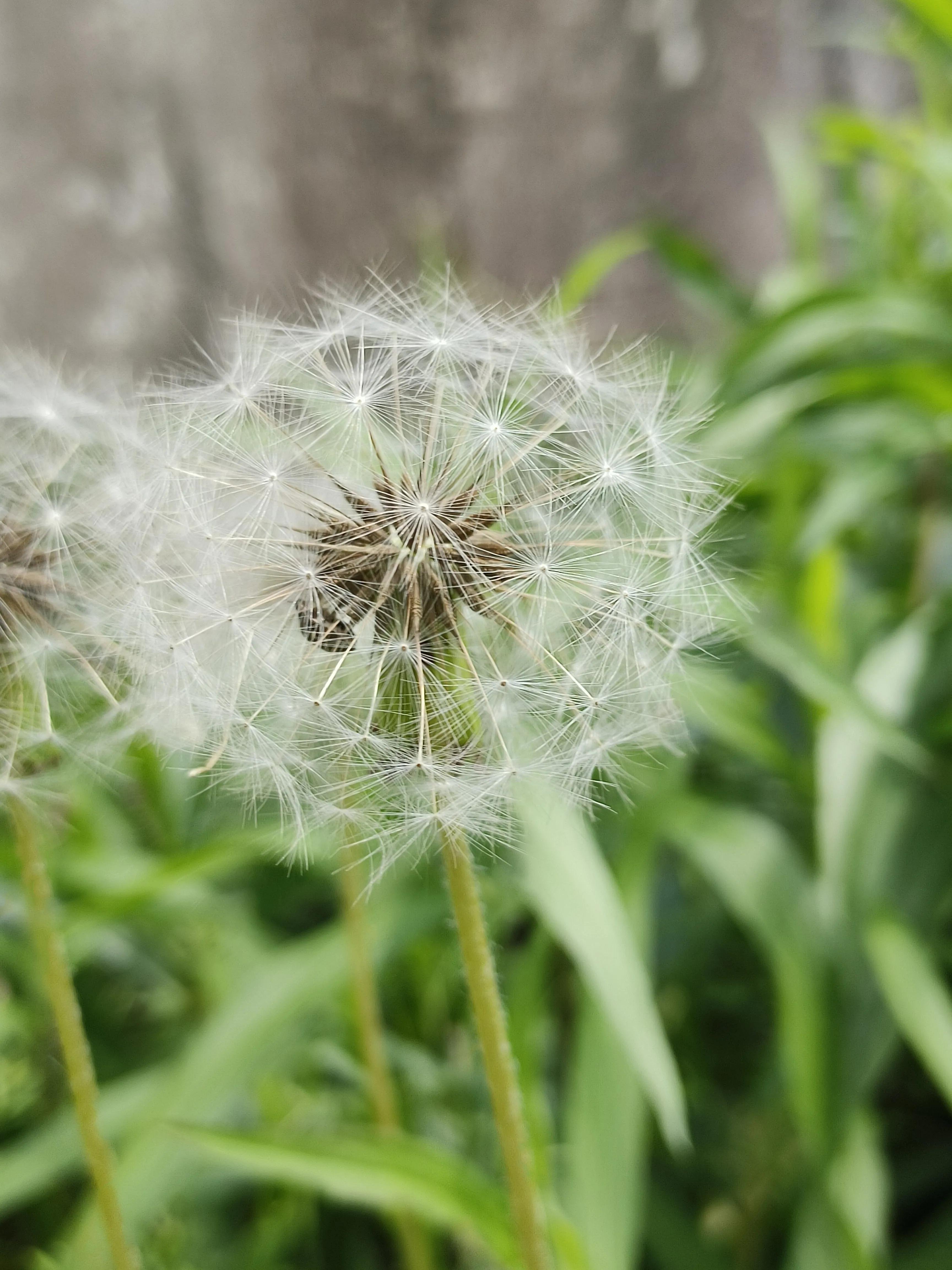 Can Cancer Patients Take Hot Baths? iMedia