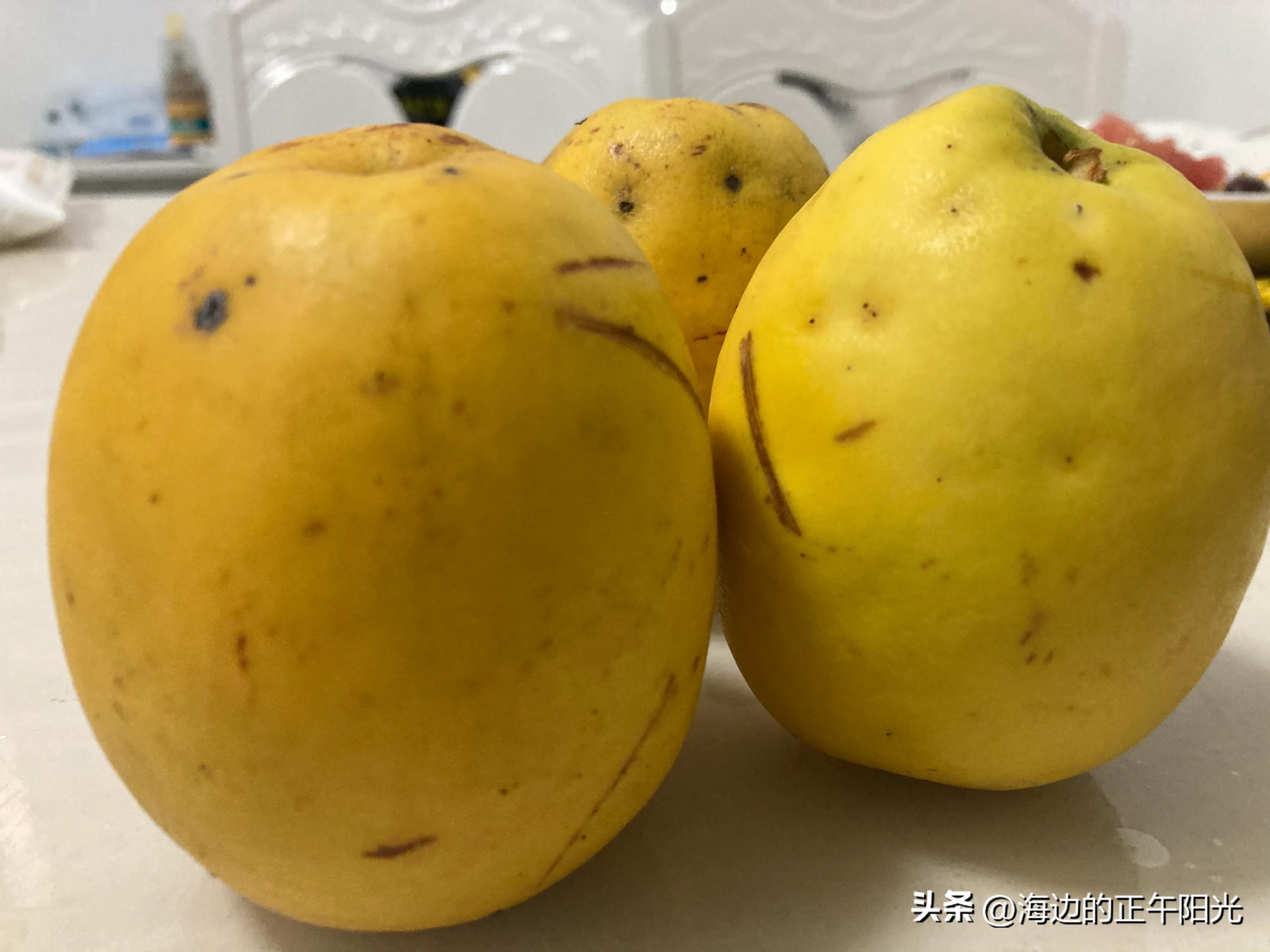 "Throw it with papaya" the papaya in "The Book of Songs" actually