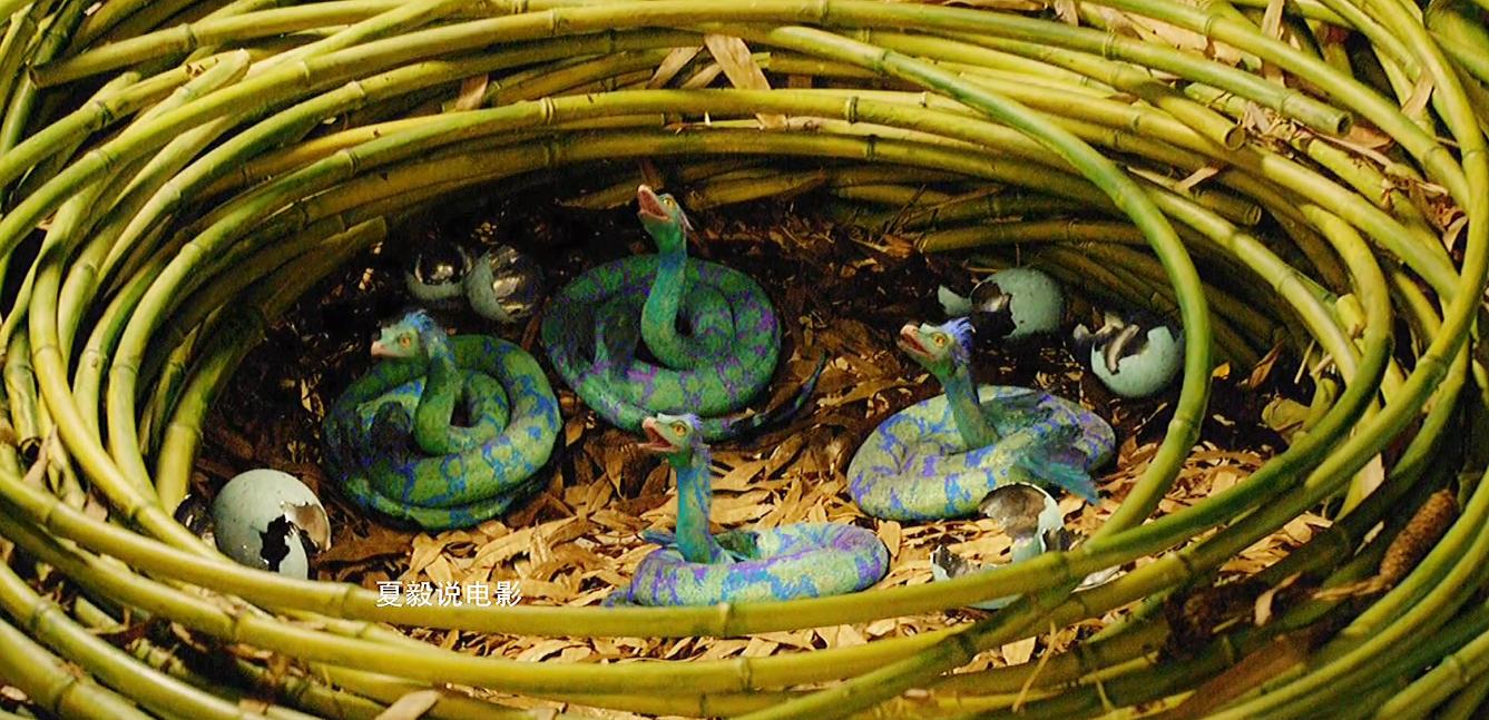 Top 10 Fantastic Beasts in Fantastic Beasts and Where to Find Them iNEWS