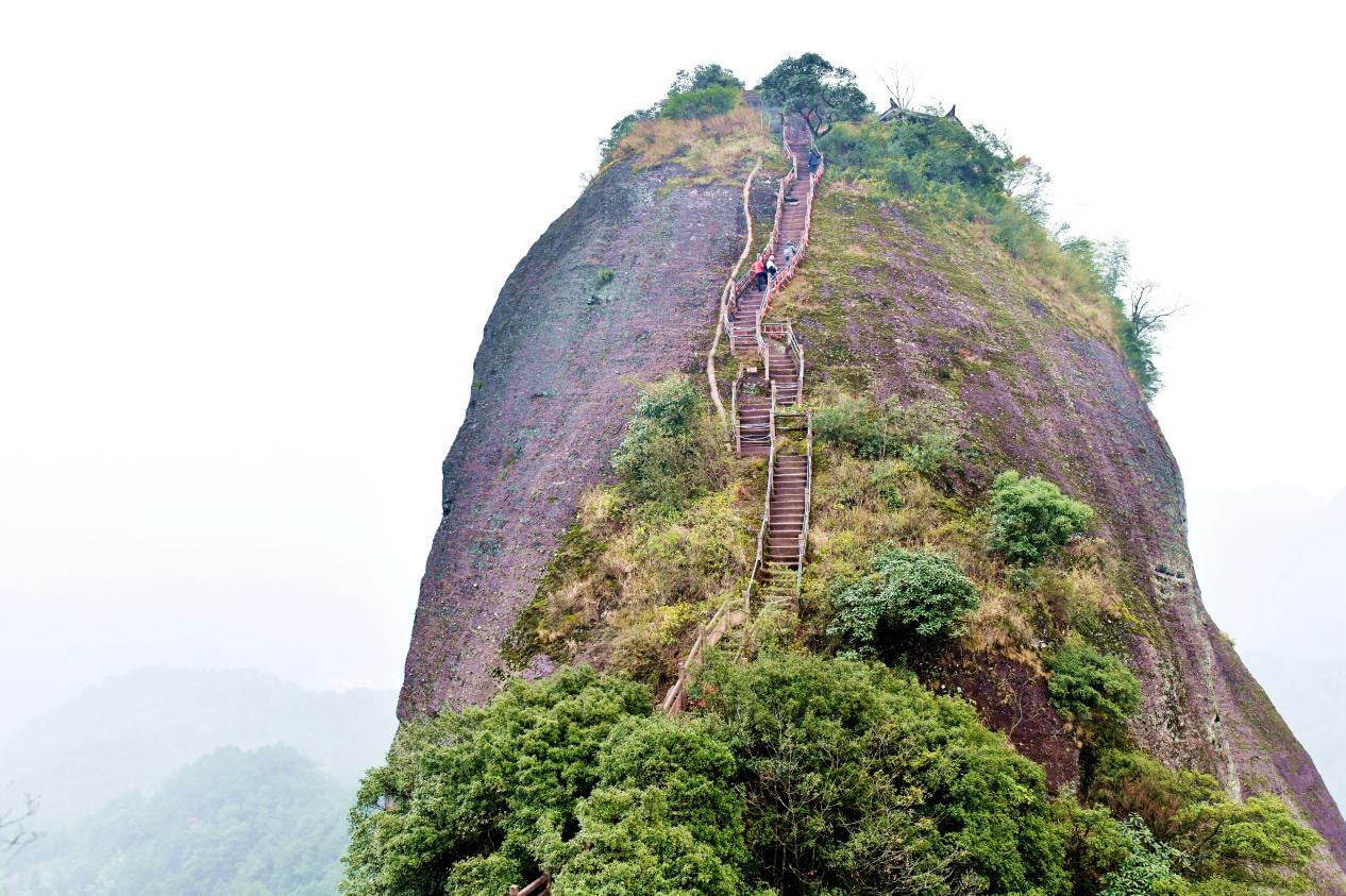 Chili came from thousands of years ago iNEWS