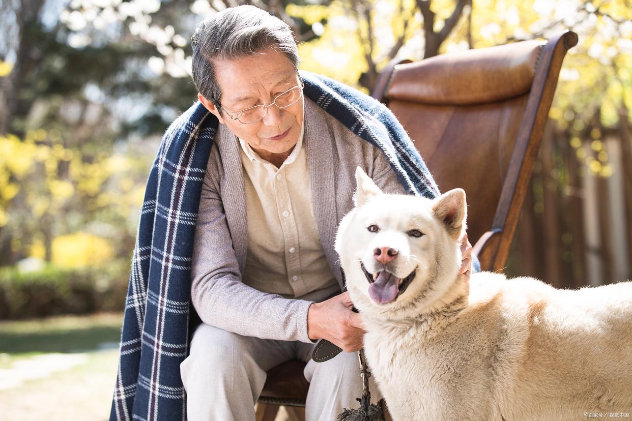 "Hachiko" Film Review A successful localized remake, an irresistible tearjerker! iMedia