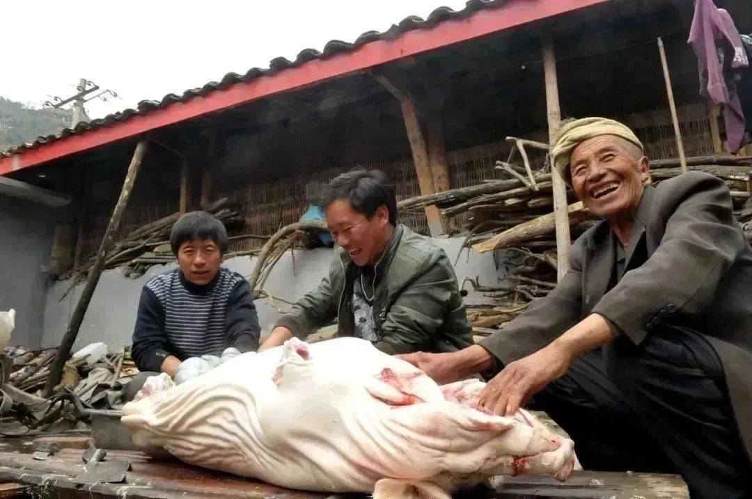 Kill pigs, smoke bacon, stuff to Yuexi to celebrate the