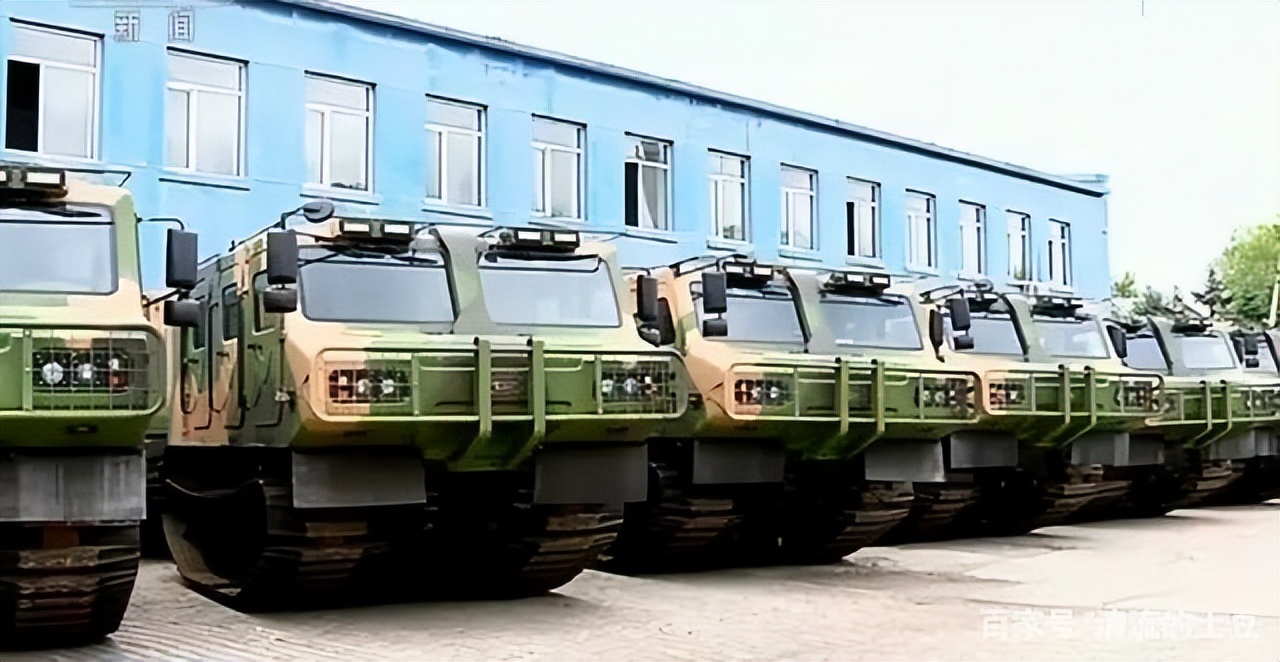 The domestic python-type all-terrain vehicle, with its peculiar shape ...