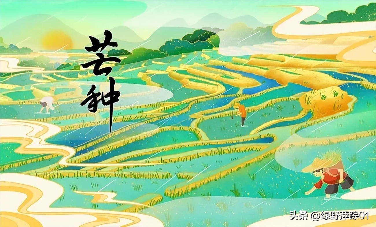 The Dream of Red Mansions refers to which year the "Feast of the Mango