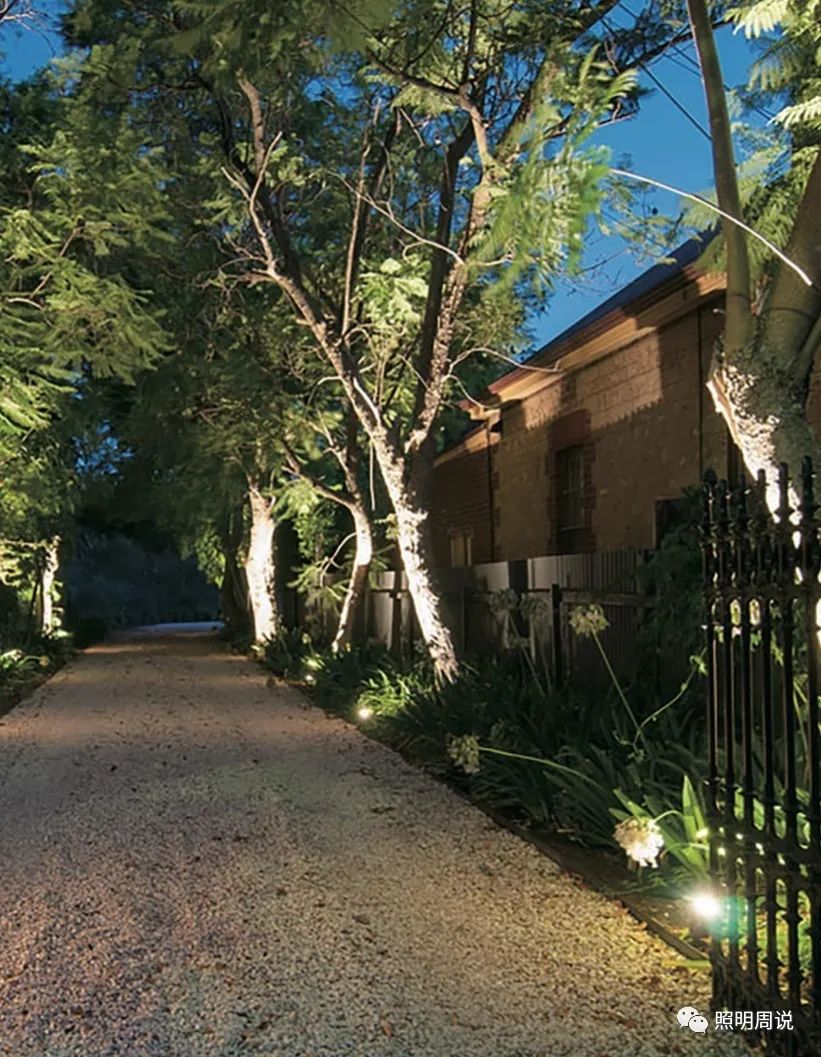 How to Control Landscape Lighting Glare (2) Tree Lighting iMedia