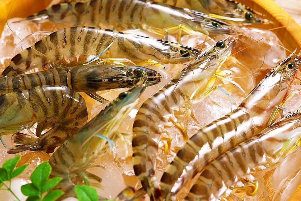10 homemade prawn recipes, delicious and healthy, easy to learn, adults
