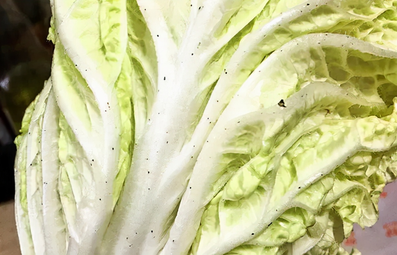 What are the "little black spots" on Chinese cabbage?Can you eat it?You