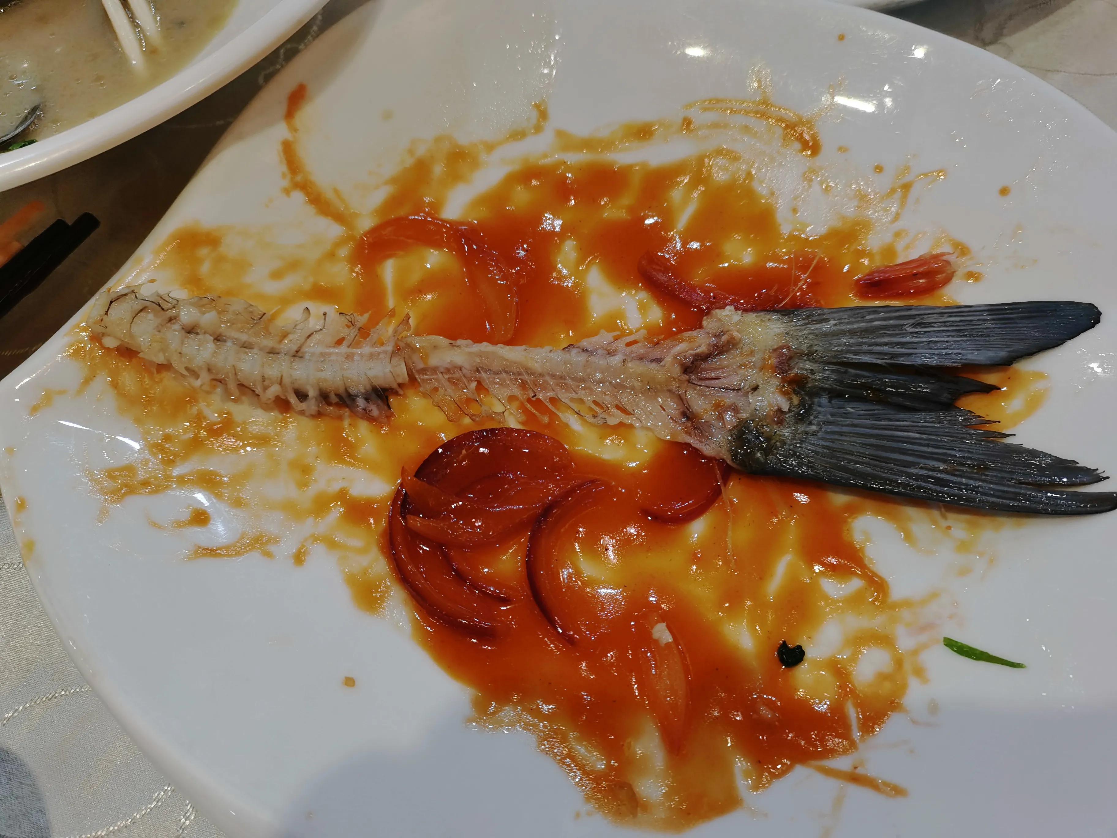 Cantonese "cat walks" iMedia