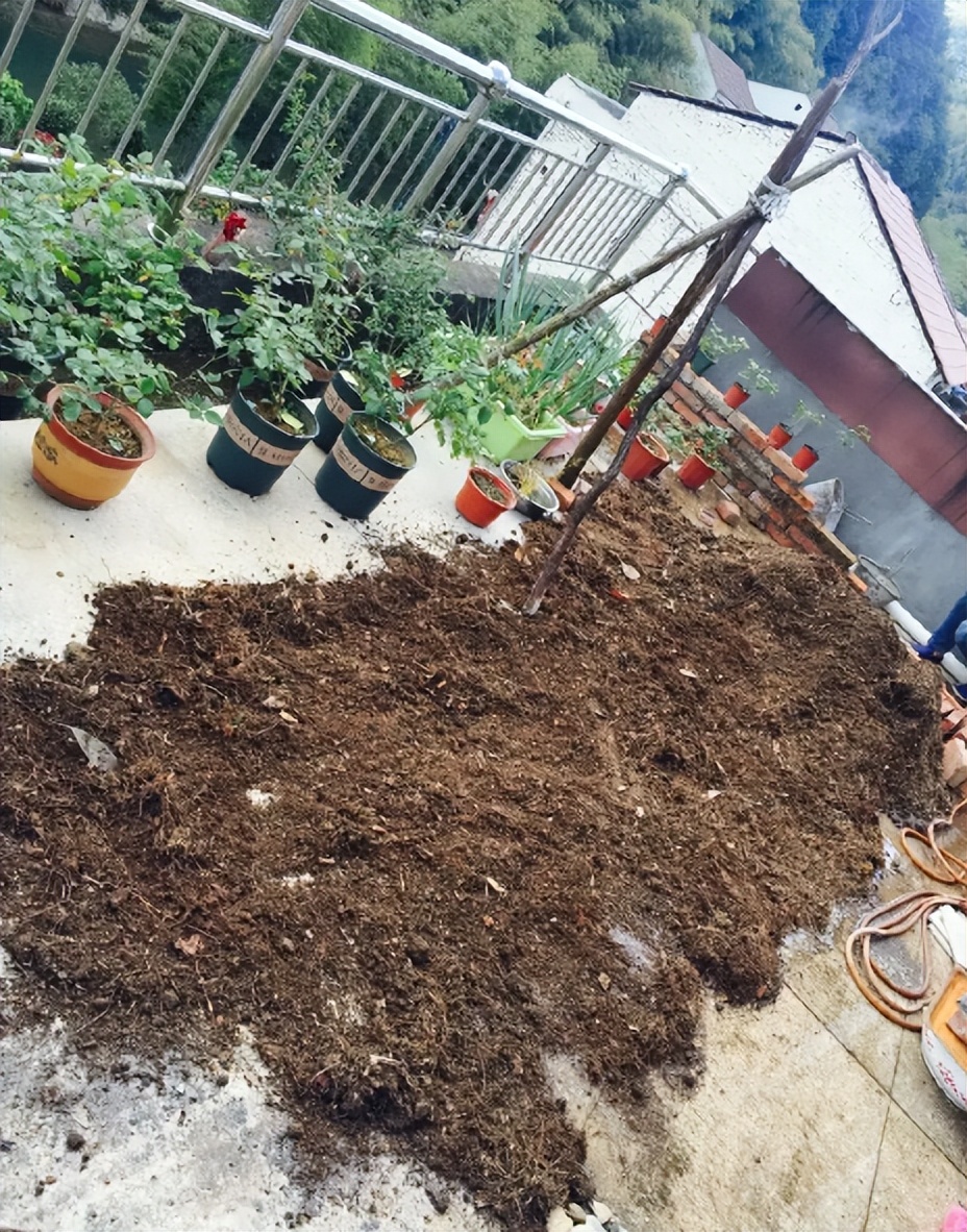 Don't throw away the old soil for growing flowers, add some "small