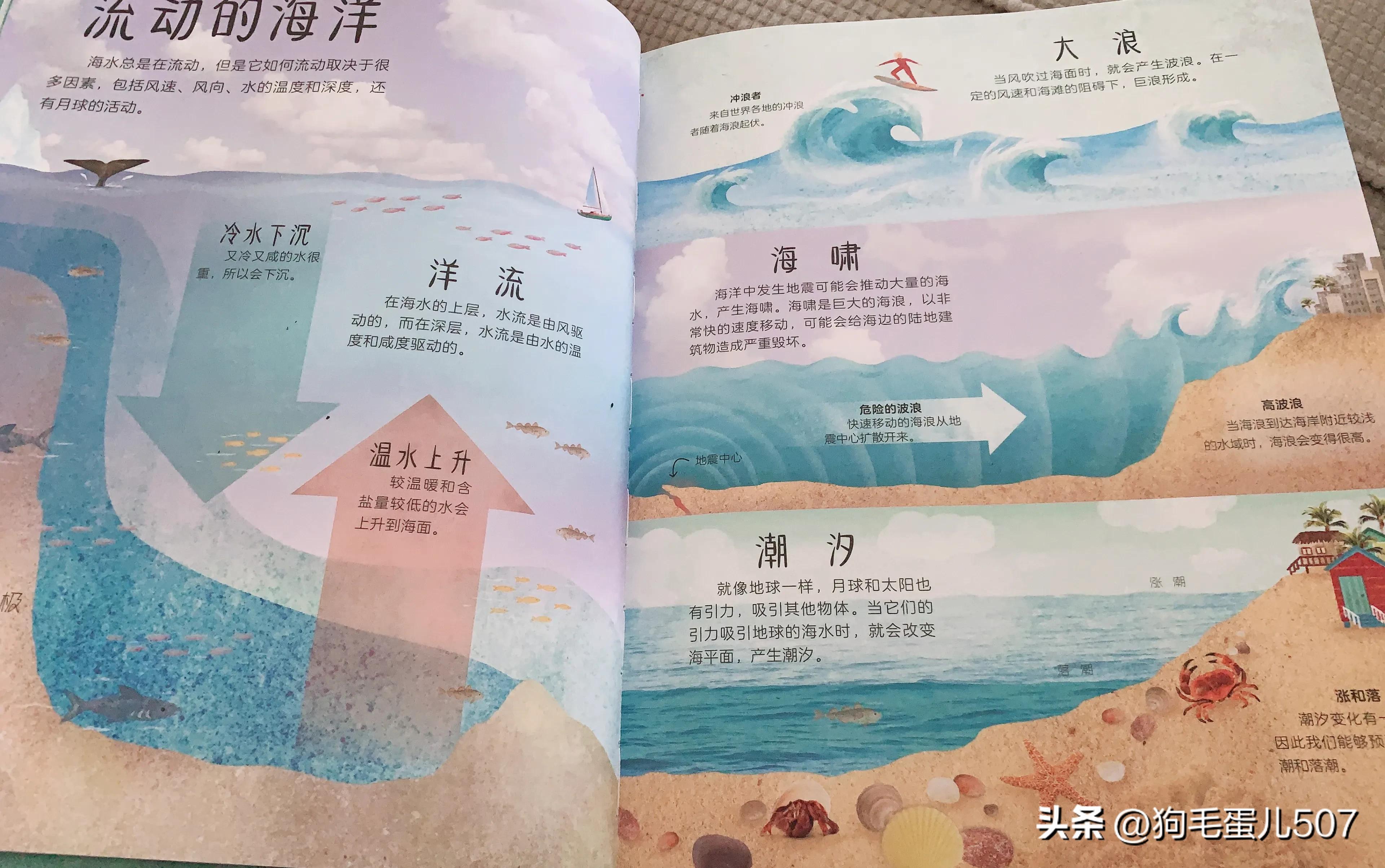 Wonderful Encyclopedia of Ocean Knowledge - iMedia