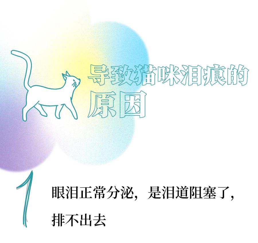 Why do cats have tears? iNEWS