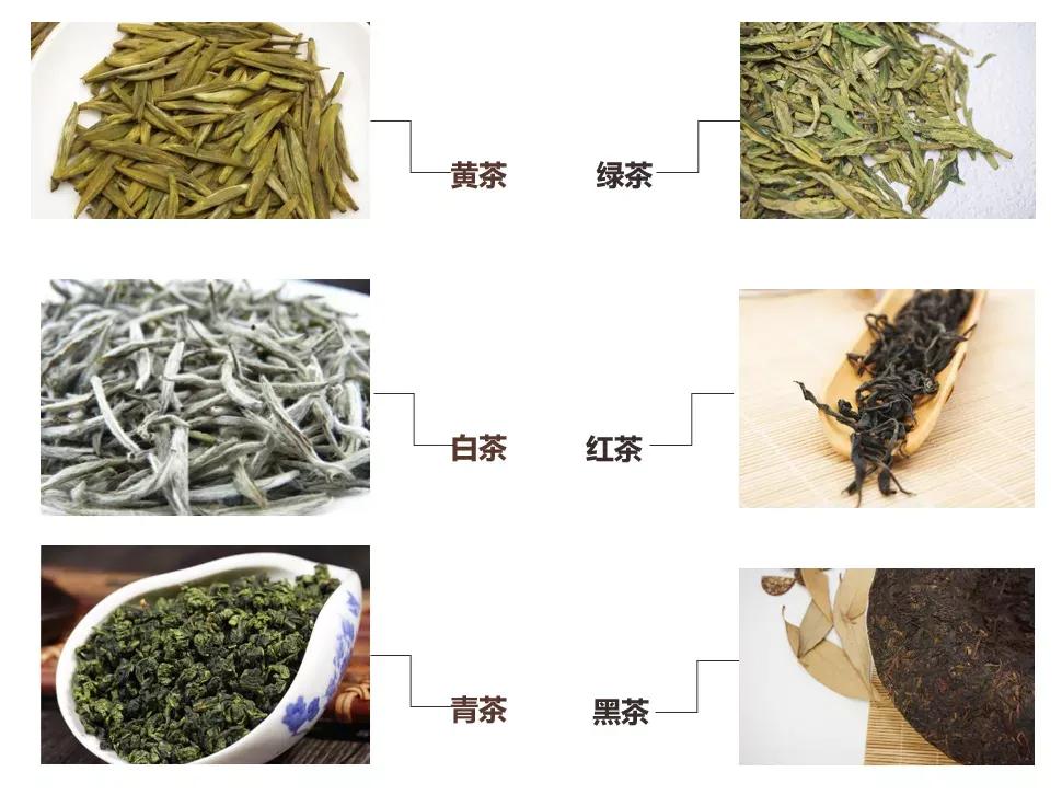What are the classifications of tea, and what are their respective ...