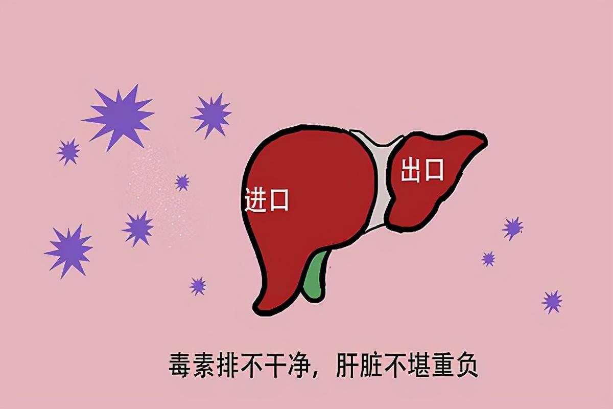 Does taking vitamins hurt the liver?Advice These 4 vitamins are not for longterm