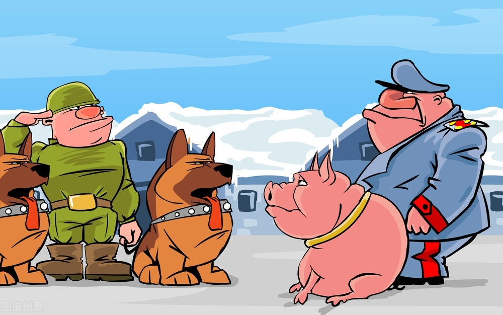 50,000 pigs and pig commanders, how can such a national army be ...