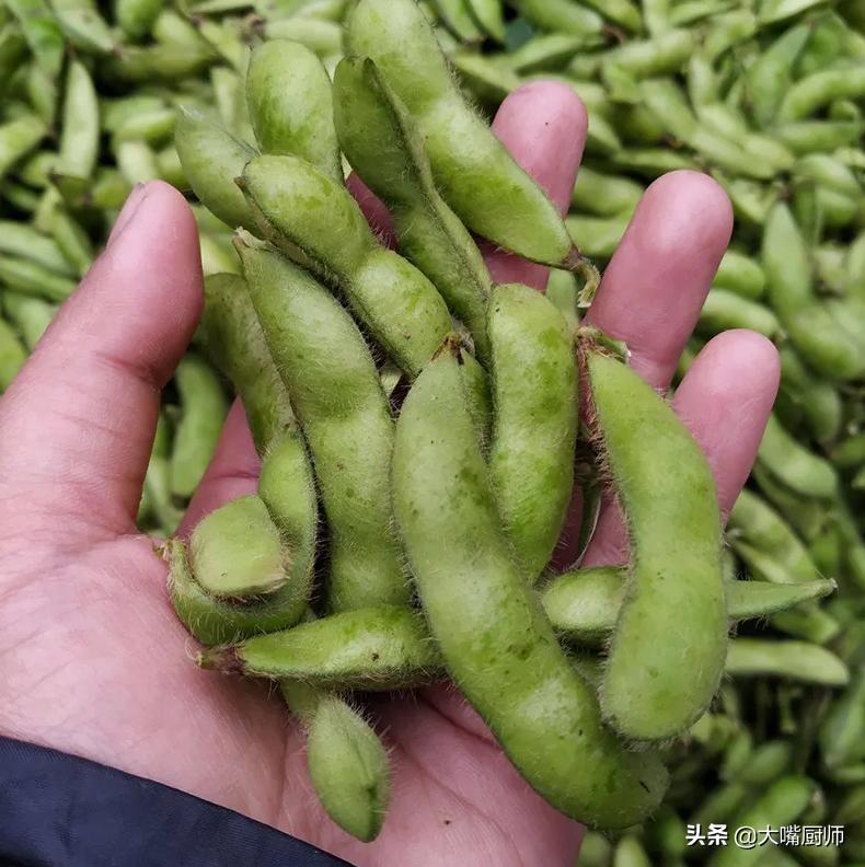 Boiled edamame, it is best not to cook it directly, it will turn yellow and tasteless!4 tips to