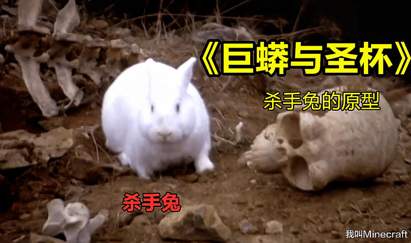 《我的世界》探索起源:mc殺手兔的歷史!從癲狂走向毀滅的怪物! - 頭條匯
