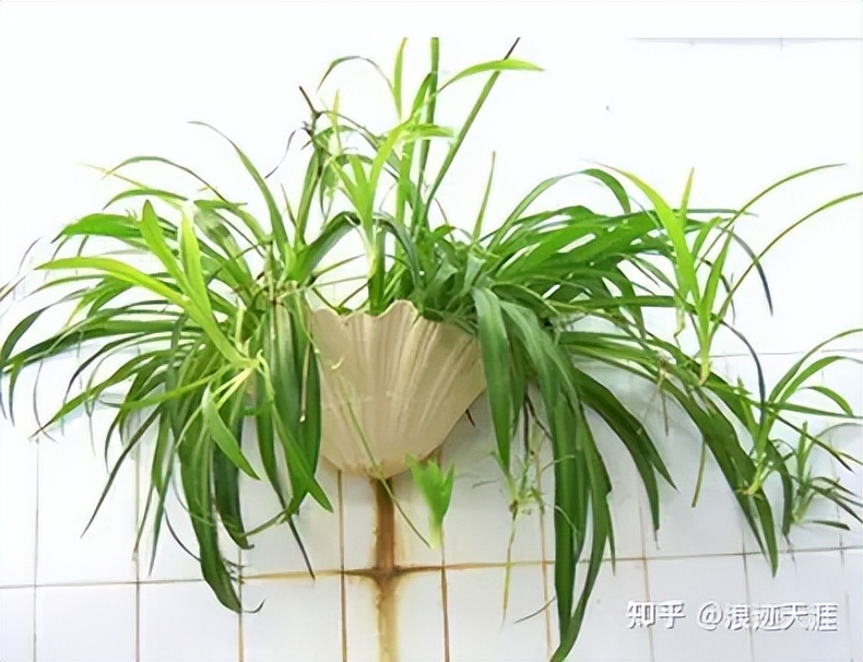 How to remove the smell of furniture in the house The quickest and