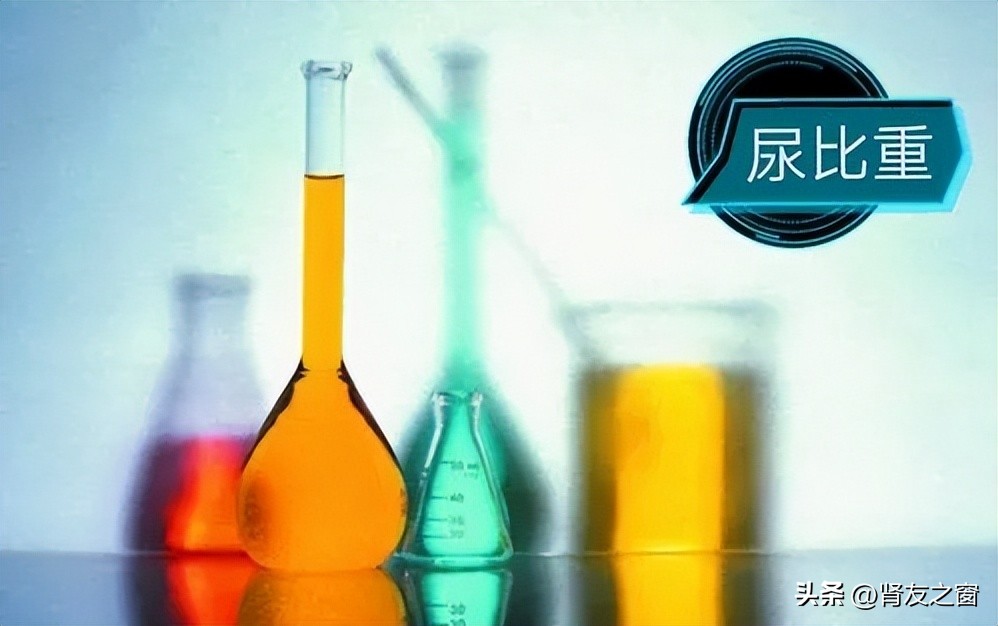 What is the difference between urine osmolality and urine specific