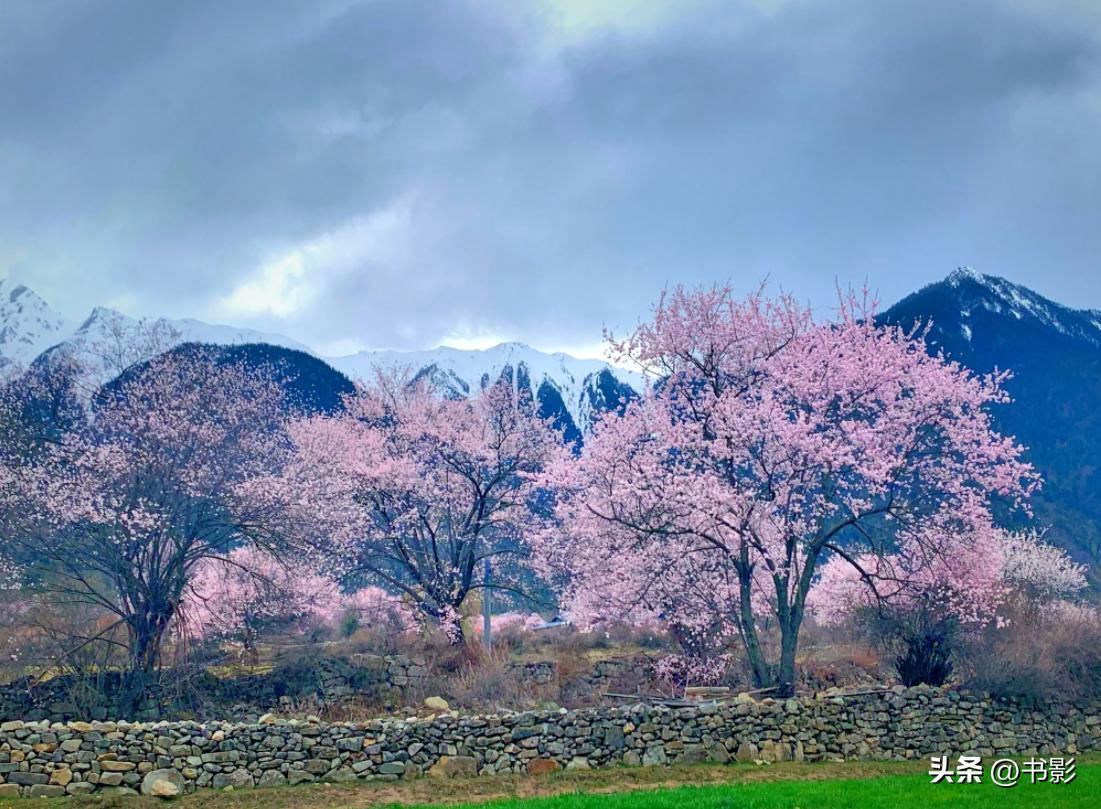 A Spring Outing Spring is short, and you owe your lover a trip, choose from these few ...