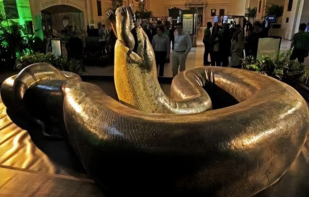 In 2017, a 7.6-meter python swallowed a 14-year-old boy. Why does the ...