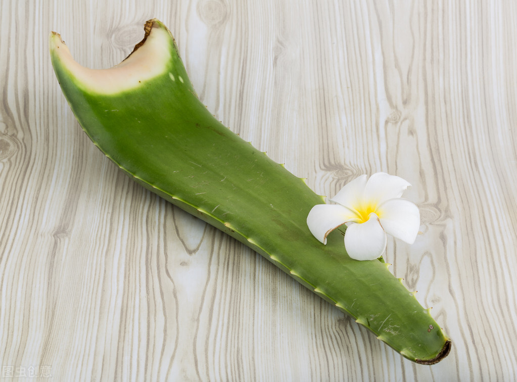 Can Aloe Vera Treat Psoriasis? iNEWS