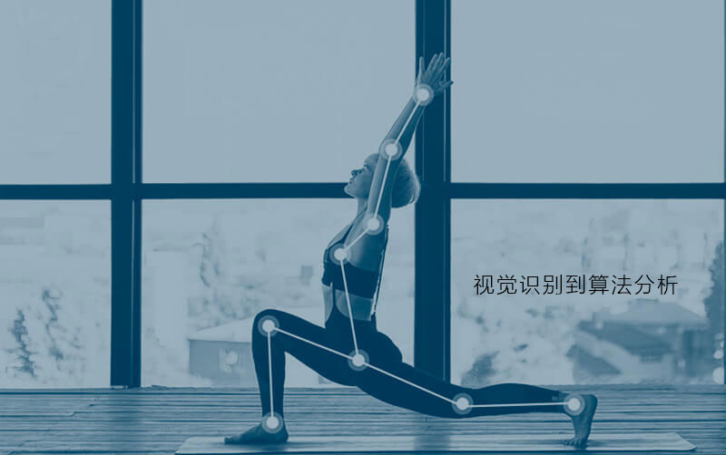 From visual recognition to algorithm analysis, the road of camera human ...