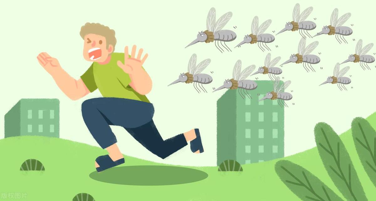 Do all mosquitoes suck blood? Why only bite you and not others? iMedia