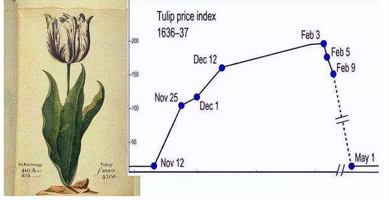 1637年荷蘭「鬱金香泡沫」，人類史上第一次金融危機，簡直災難！ - 資訊咖