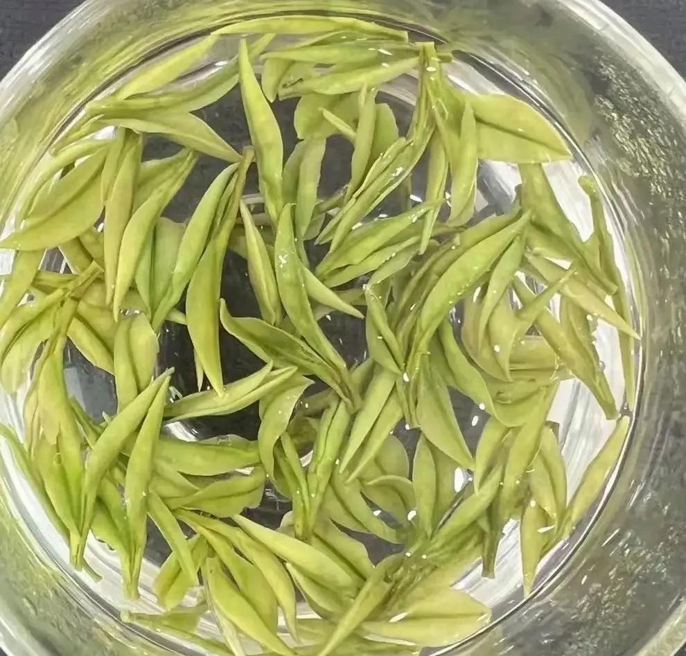 What are the health benefits of drinking green tea? you never expect