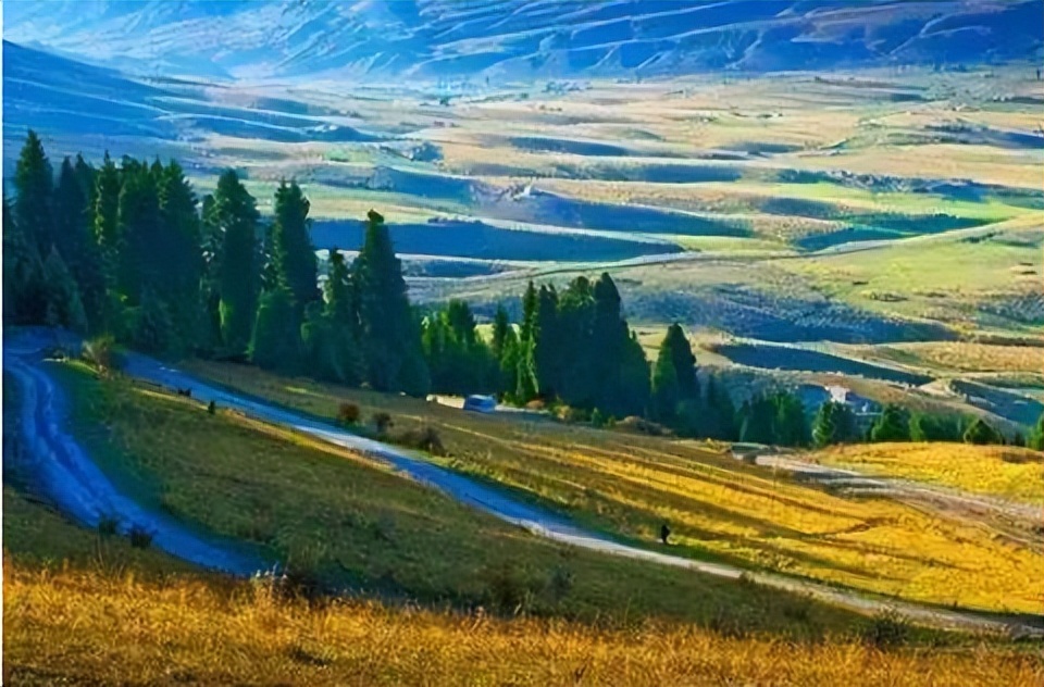 Overview of Forest Health Research Based on Remote Sensing Technology ...