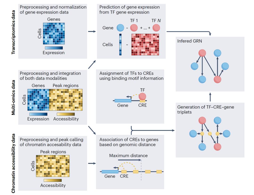 Nature Reviews Genetics - INEWS