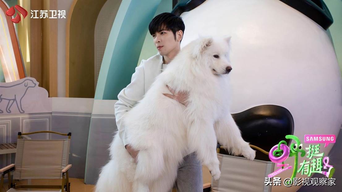 Chen Zhuoxuan, Xiao Jingteng and Wen Junhui turned into pet beauticians ...