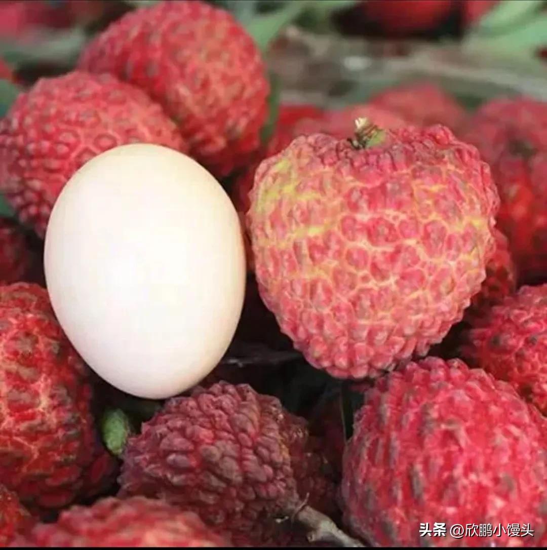 Do you know how many varieties of lychees there are? What kind of ...