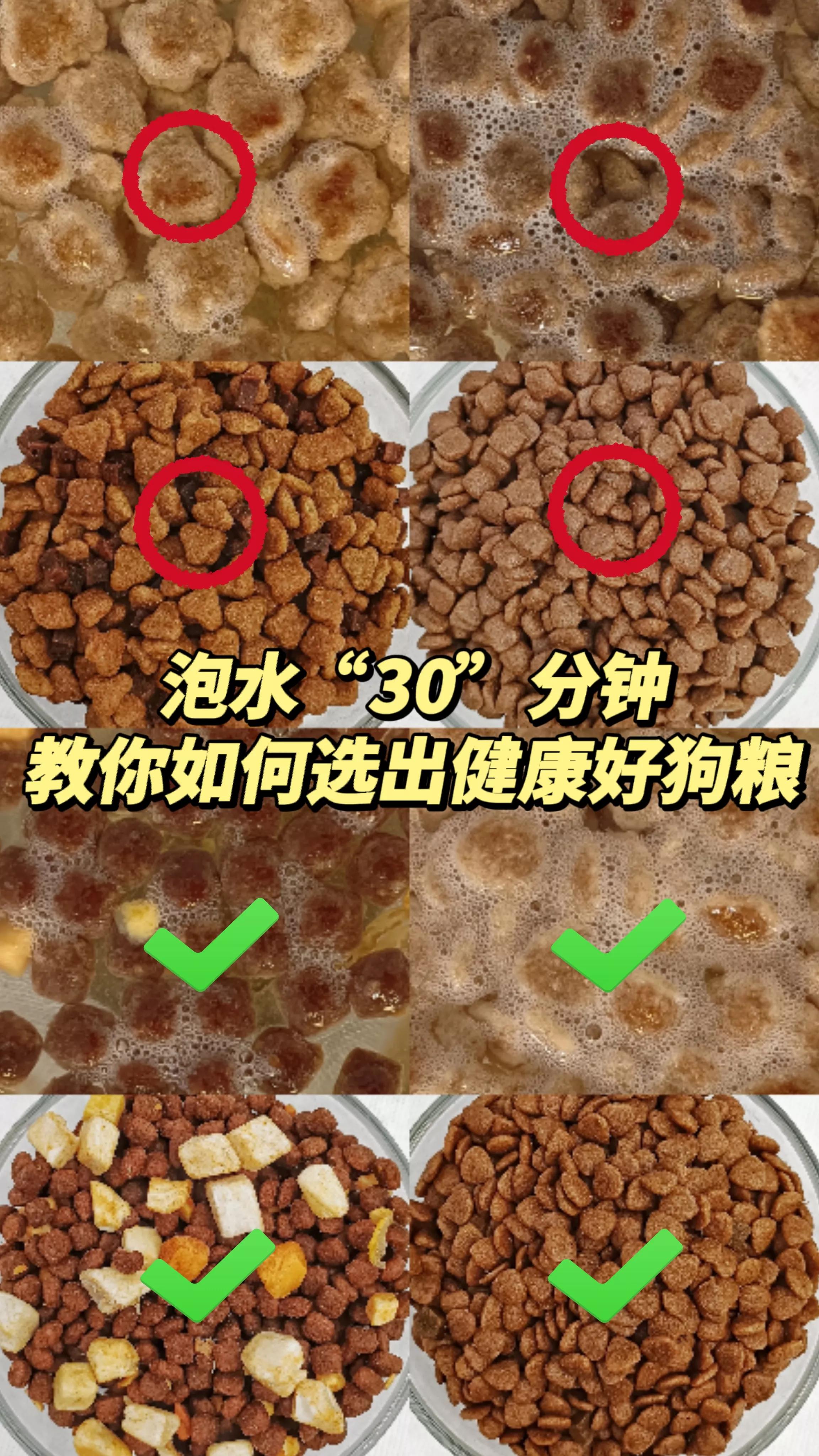 Soaking in water can really pick out poisonous dog food, you know? iNEWS