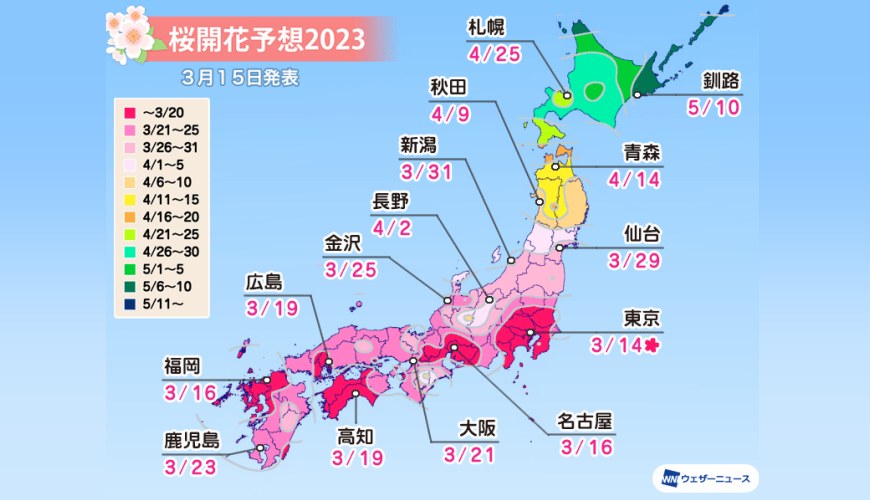 2023 Japanese Cherry Blossom Forecast Frontline Cherry Blooming Period